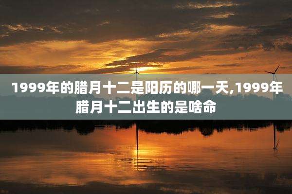 1999年的腊月十二是阳历的哪一天,1999年腊月十二出生的是啥命