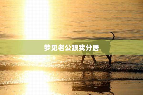 梦见老公跟我分居