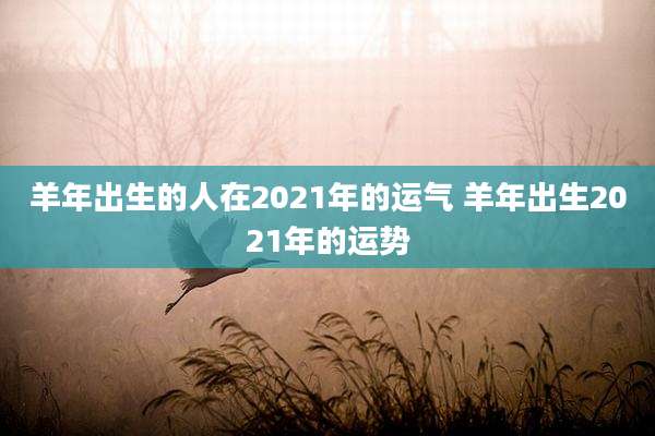 羊年出生的人在2021年的运气 羊年出生2021年的运势