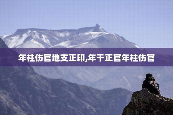 年柱伤官地支正印,年干正官年柱伤官