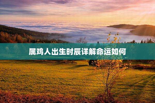 属鸡人出生时辰详解命运如何