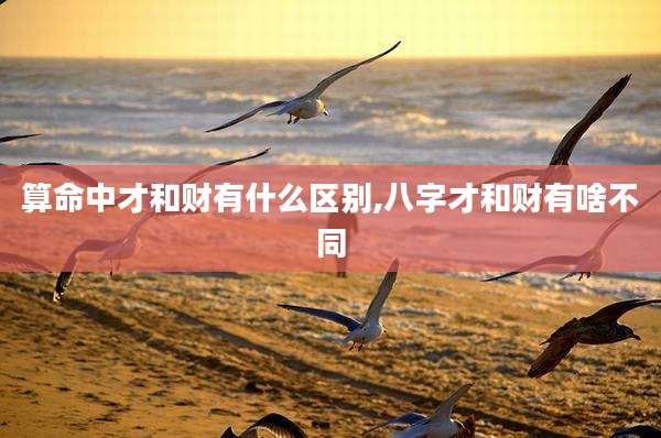 算命中才和财有什么区别,八字才和财有啥不同