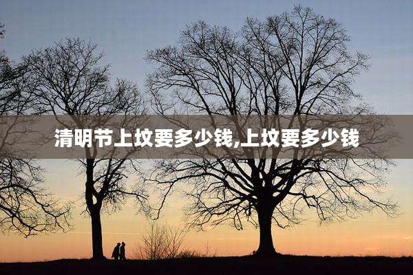 清明节上坟要多少钱,上坟要多少钱