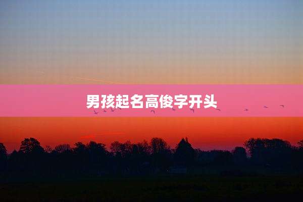 男孩起名高俊字开头