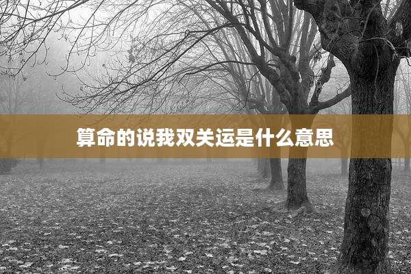 算命的说我双关运是什么意思