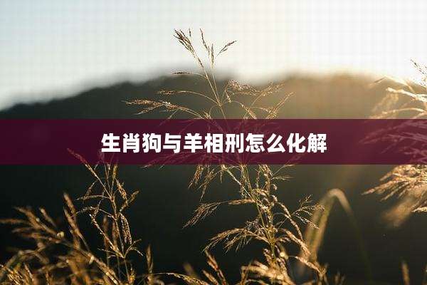 生肖狗与羊相刑怎么化解
