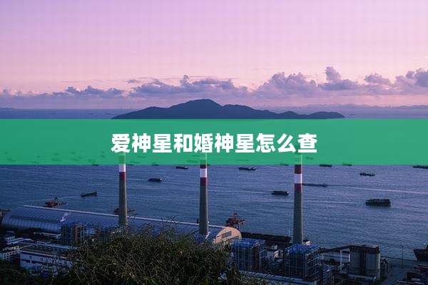 爱神星和婚神星怎么查