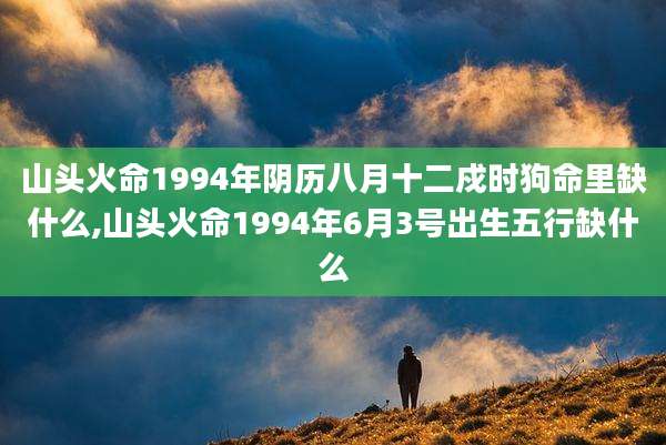 山头火命1994年阴历八月十二戍时狗命里缺什么,山头火命1994年6月3号出生五行缺什么