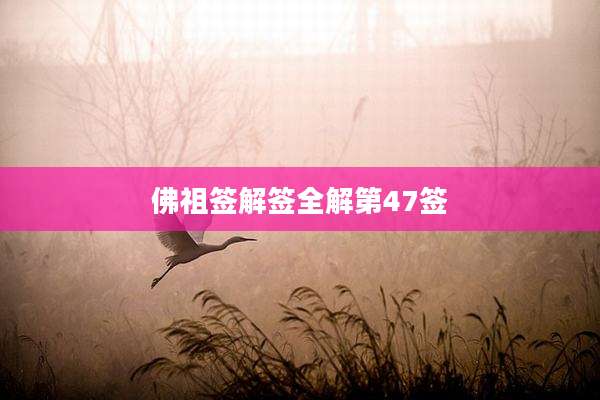 佛祖签解签全解第47签