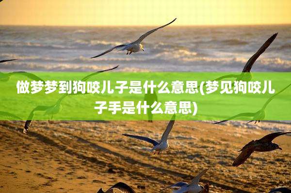 做梦梦到狗咬儿子是什么意思(梦见狗咬儿子手是什么意思)