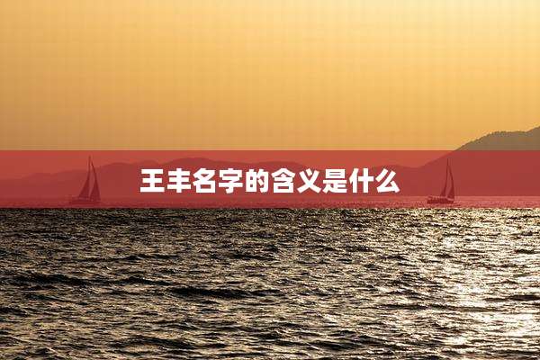 王丰名字的含义是什么