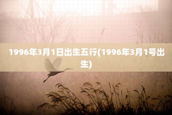 1996年3月1日出生五行(1996年3月1号出生)