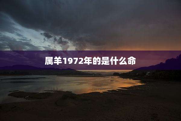 属羊1972年的是什么命