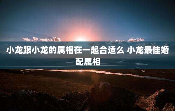 小龙跟小龙的属相在一起合适么 小龙最佳婚配属相