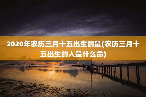 2020年农历三月十五出生的鼠(农历三月十五出生的人是什么命)