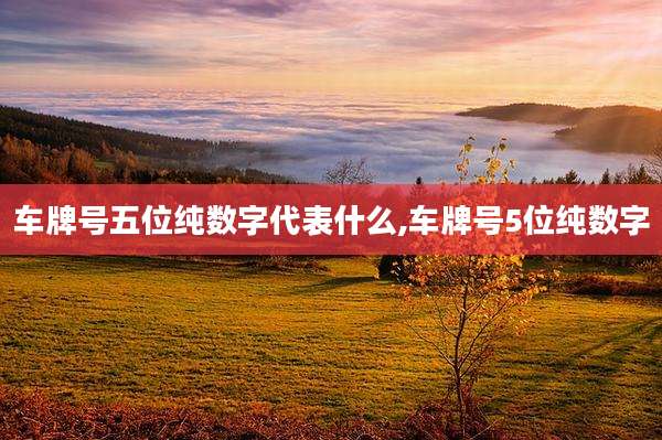 车牌号五位纯数字代表什么,车牌号5位纯数字