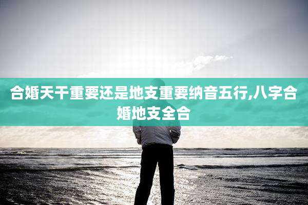合婚天干重要还是地支重要纳音五行,八字合婚地支全合