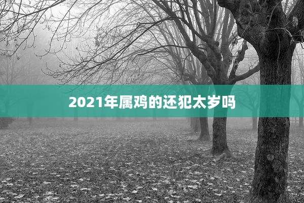 2021年属鸡的还犯太岁吗