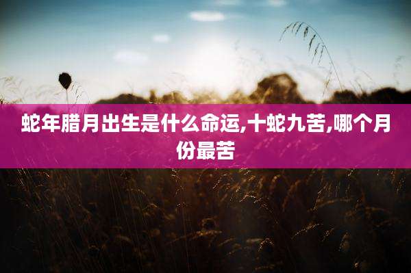 蛇年腊月出生是什么命运,十蛇九苦,哪个月份最苦