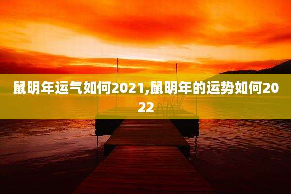 鼠明年运气如何2021,鼠明年的运势如何2022