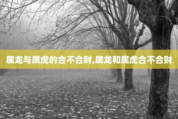 属龙与属虎的合不合财,属龙和属虎合不合财