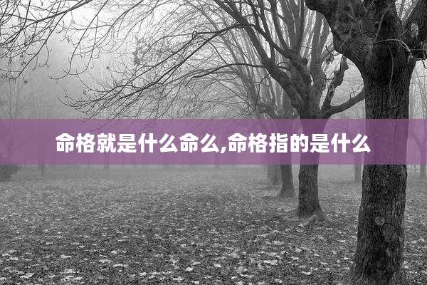命格就是什么命么,命格指的是什么