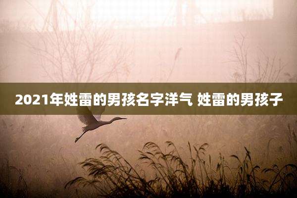 2021年姓雷的男孩名字洋气 姓雷的男孩子
