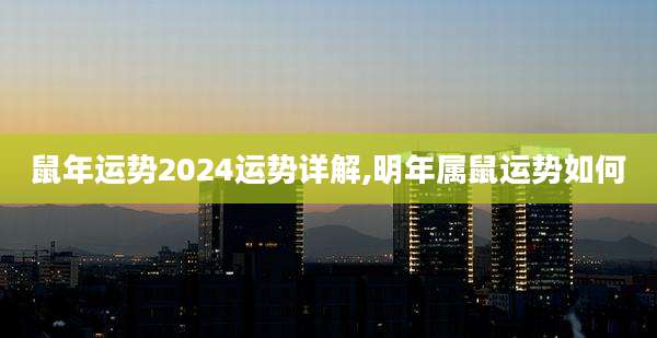 鼠年运势2024运势详解,明年属鼠运势如何