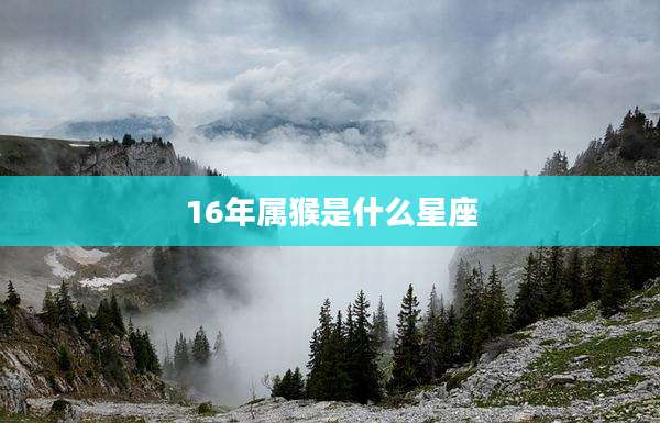 16年属猴是什么星座