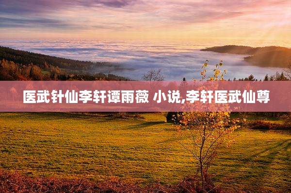 医武针仙李轩谭雨薇 小说,李轩医武仙尊