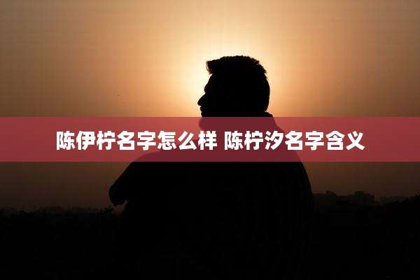 陈伊柠名字怎么样 陈柠汐名字含义