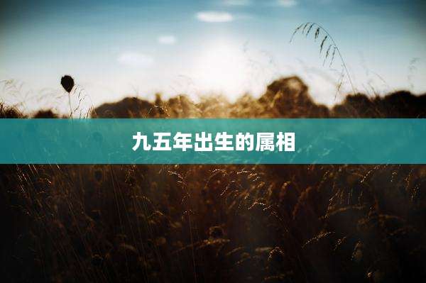 九五年出生的属相
