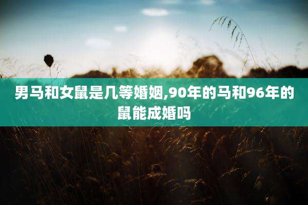 男马和女鼠是几等婚姻,90年的马和96年的鼠能成婚吗