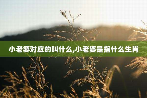 小老婆对应的叫什么,小老婆是指什么生肖