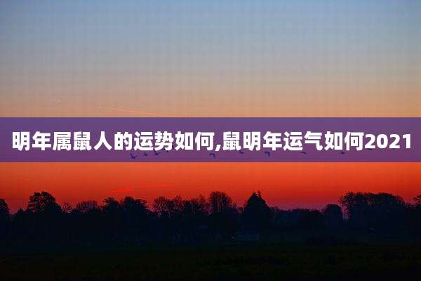 明年属鼠人的运势如何,鼠明年运气如何2021