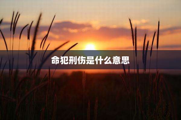 命犯刑伤是什么意思