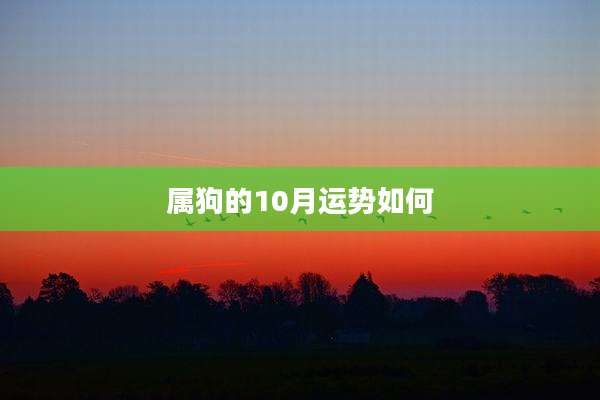 属狗的10月运势如何