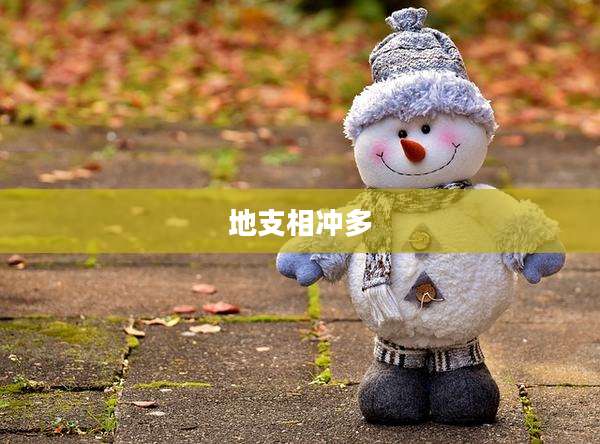 地支相冲多
