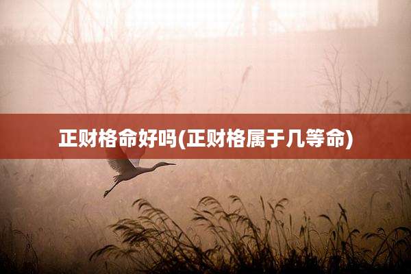 正财格命好吗(正财格属于几等命)