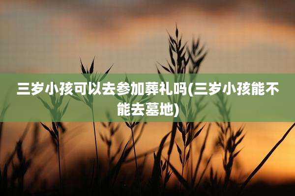 三岁小孩可以去参加葬礼吗(三岁小孩能不能去墓地)