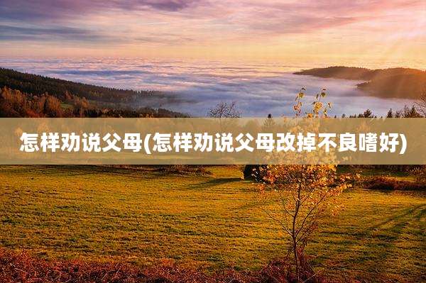 怎样劝说父母(怎样劝说父母改掉不良嗜好)