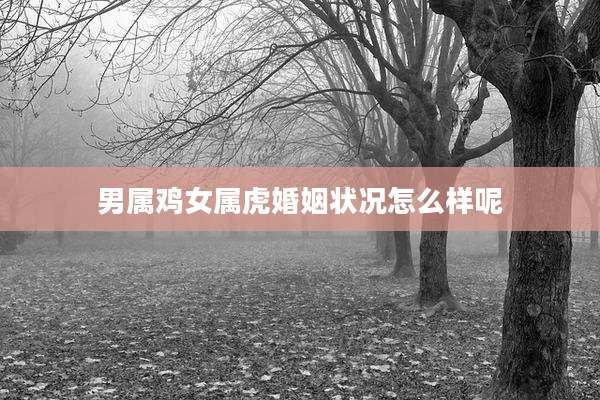 男属鸡女属虎婚姻状况怎么样呢