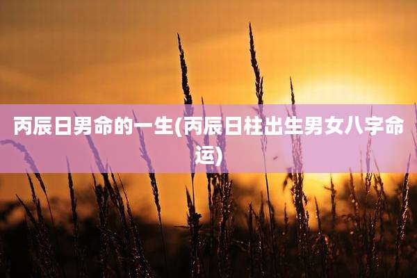 丙辰日男命的一生(丙辰日柱出生男女八字命运)