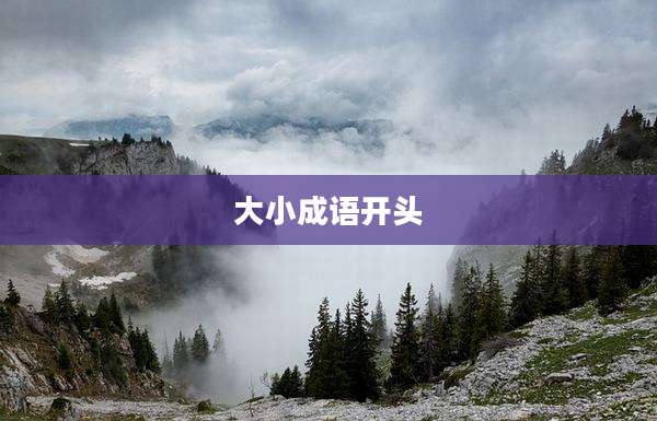 大小成语开头