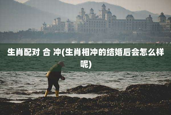 生肖配对 合 冲(生肖相冲的结婚后会怎么样呢)