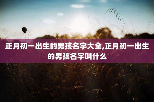 正月初一出生的男孩名字大全,正月初一出生的男孩名字叫什么