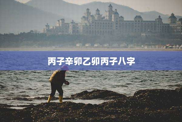 丙子辛卯乙卯丙子八字