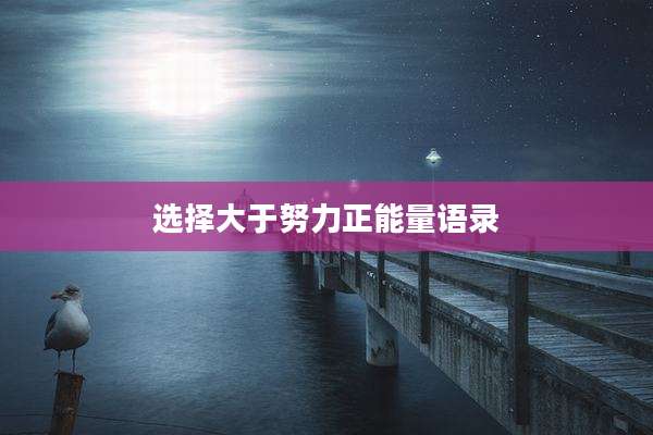 选择大于努力正能量语录