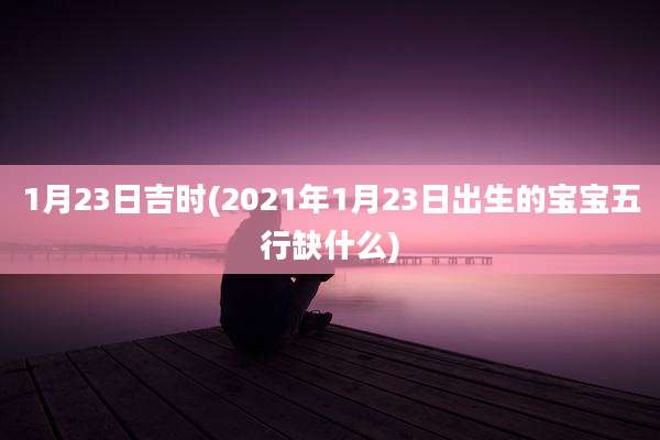 1月23日吉时(2021年1月23日出生的宝宝五行缺什么)