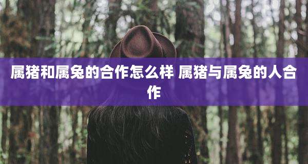 属猪和属兔的合作怎么样 属猪与属兔的人合作
